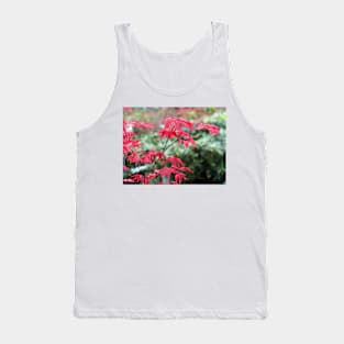 Red Japanese Maple Leaves Tank Top